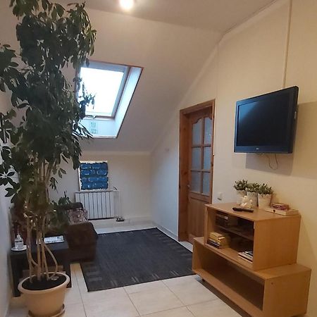 Tiesiog Hostelis Salcininkai 外观 照片